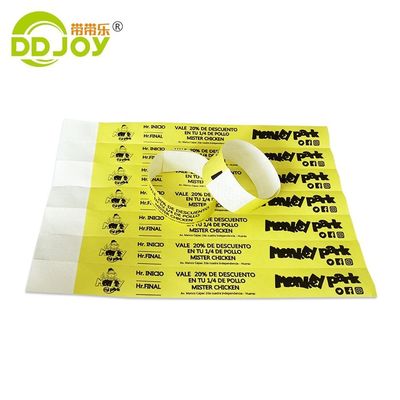 250*25mm/250*19mm Full Color Event Party VIP Custom Wristband Entry Tyvek voor beveiliging