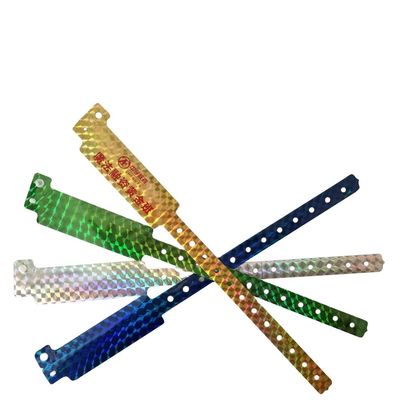2023 Holografisch ID Armband Expositie en Concert Toegang Glitter Armbanden